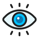 Vision